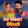 About Ae Maari Bitudi Song